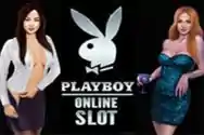 Playboy