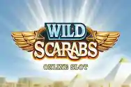 Wild-Scarabs